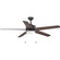 Whirl 60'' Ceiling Fan in Forged Black (54|P2574-8030K)