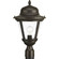 Westport One Light Post Lantern in Antique Bronze (54|P5458-20)