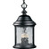 Ashmore Three Light Hanging Lantern in Textured Black (54|P5550-31)