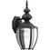 Roman Coach One Light Wall Lantern in Black (54|P5765-31)