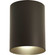 Cylinder One Light Outdoor Ceiling Mount in Antique Bronze (54|P5774-20)
