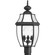 New Haven Three Light Post Lantern in Black (54|P6433-31)