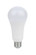 Light Bulb in White (230|S11332)