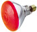 Light Bulb in Red (230|S5002)