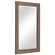 Valles Mirror in Antiqued Gold (52|09723)