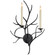 Branch Two Light Wall Sconce in Aged Iron (268|CHD 2470AI)