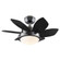 Quince 24''Ceiling Fan in Gun Metal (88|7224600)