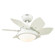Quince 24''Ceiling Fan in White (88|7224700)