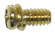 Motor Screw Kit 10-Piece Motor Screw Kit in Brass (88|7704700)