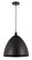 Edison One Light Mini Pendant in Matte Black (405|616-1P-BK-MBD-16-BK)