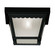 One Light Outdoor Flush Mount in Black (446|M50058BK)