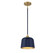 One Light Pendant in Navy Blue with Natural Brass (446|M70118NBLNB)