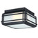 Devyn Two Light Flush Mount in Textured Black (88|6123600)