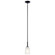 Shailene One Light Mini Pendant in Black (12|43674BK)