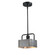 Bexar One Light Mini Pendant in Matte Black With Dark Pewter Accents (88|6125600)