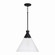 Paloma One Light Pendant in Textured Black (65|350311XK)