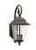 Trafalgar Two Light Outdoor Wall Lantern in Oxidized Bronze (1|8460EN-46)