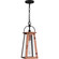 Carolina One Light Outdoor Hanging Lantern in Aged Copper (10|CLN1907AC)