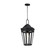 Oxford One Light Outdoor Pendant in Black (16|30596CLBK)