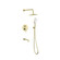George Complete Shower Faucet System With Rough-In Valve in Brushed Gold (173|FAS-9002BGD)