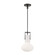 Izel One Light Pendant in Oil Rubbed Bronze (45|4641-OB-MO)