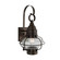 Classic Onion One Light Outdoor Wall Sconce in Bronze (45|1513-BR-SE)
