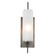 Stefan One Light Wall Sconce in Frosted (314|49006)