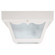 Outdoor Two Light Outdoor Flush Mount in White (65|9239WH)