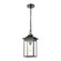 Lamplighter One Light Outdoor Pendant in Matte Black (45|46703/1)