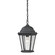 Temple Hill One Light Hanging Lantern in Matte Textured Black (45|8101EH/65)