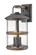Lakehouse LED Outdoor Lantern in Aged Zinc (13|2685DZ)