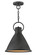 Winnie LED Pendant in Aged Zinc (13|3557DZ)