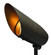 Accent Spot Light LED Landscape Spot in Bronze (13|55000BZ)