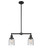 Franklin Restoration Two Light Island Pendant in Matte Black (405|209-BK-G54)