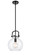 Newton LED Mini Pendant in Matte Black (405|410-1S-BK-10CL-LED)