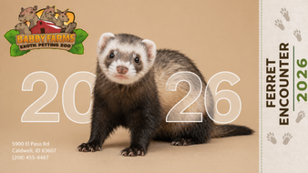 Good for one admission to the Ferret Encounter for the selected date and time. Please provide a screenshot or your order number located in your confirmation email upon arrival for your encounter.