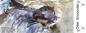 Admission for Otter Encounter for the date and time specified.