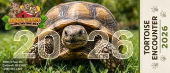 Would you like to get up close and personal with the Camels at Babby Farms? Now you can! Encounter tickets are only valid for date and time selected. Please provide a screenshot or your order number located in your confirmation email upon arrival for your encounter.