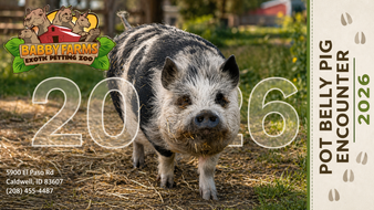 Would you like to get up close and personal with the pot belly pig at Babby Farms? Now you can! Encounter tickets are only valid for date and time selected. Please provide a screenshot or your order number located in your confirmation email upon arrival for your encounter.