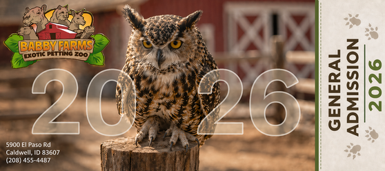 General Admission for ONE visitor for the date and time selected.