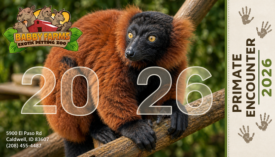 Ticket for admission to the Primate Encounter for the selected date and time. Please provide a screenshot or your order number located in your confirmation email upon arrival for your encounter.