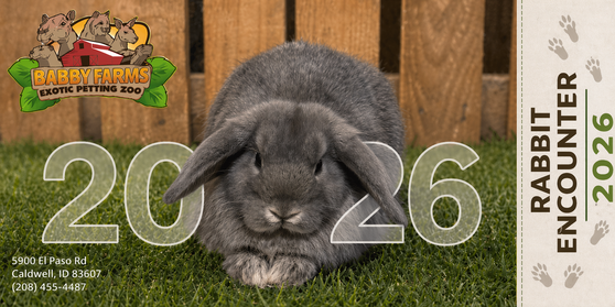 Admission for Rabbit Encounter for selected date and time.
Please provide a screenshot or your order number located in your confirmation email upon arrival for your encounter.