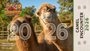 Would you like to get up close and personal with the Camels at Babby Farms? Now you can! Encounter tickets are only valid for date and time selected. Please provide a screenshot or your order number located in your confirmation email upon arrival for your encounter.