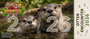 Admission for Otter Encounter for the date and time specified. Please provide a screenshot or your order number located in your confirmation email upon arrival for your encounter.