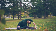 The Best Iron Supplements for Fall Energy and Wellness