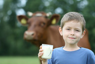 Child Iron Deficiency Risks from Cow Milk Overconsumption Child Iron Deficiency Risks from Cow Milk Overconsumption