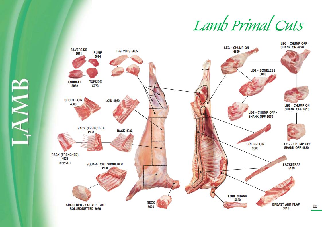 lamb primal cuts of the meat