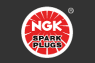 NGK Spark Plugs