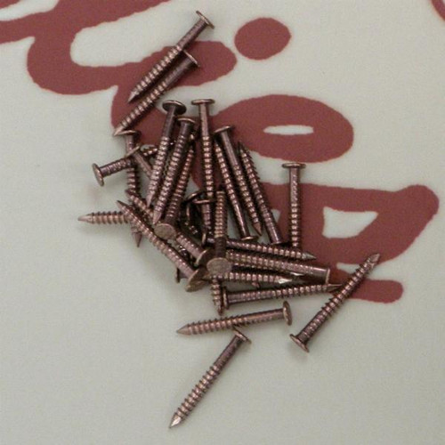 Flat Head Silicon Bronze Nails 20mm x 2.0mm