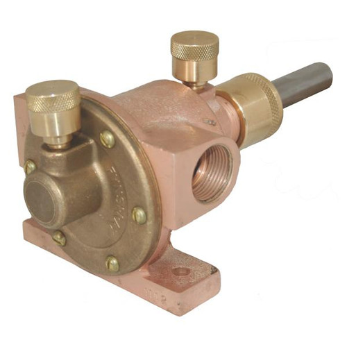 Fynspray 3/4\" Double Plain Bearing Pump